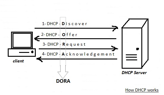 How DHCP works?