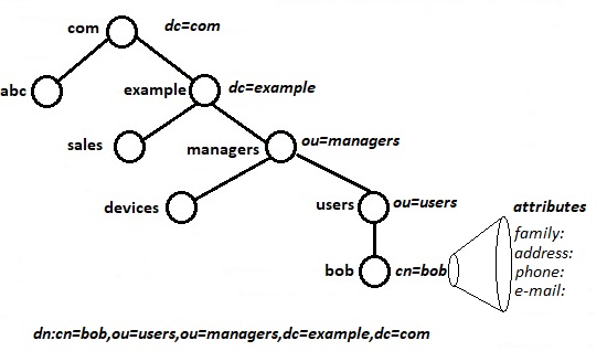 Namig Model