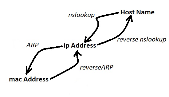arp