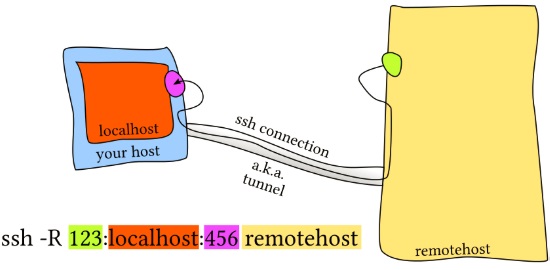 ssh portfwlr 1