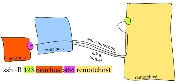 ssh portfwlr 2